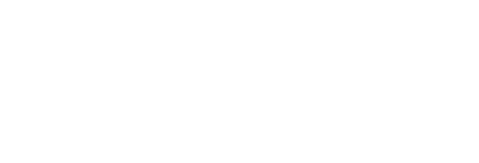 dozanü innovations logo in white used as website logo idenity